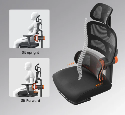 Can an Ergonomic Office Chair Transform Your Workday Comfort? 2 image